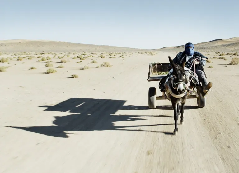 Film at Film Campus Innsbruck 2019